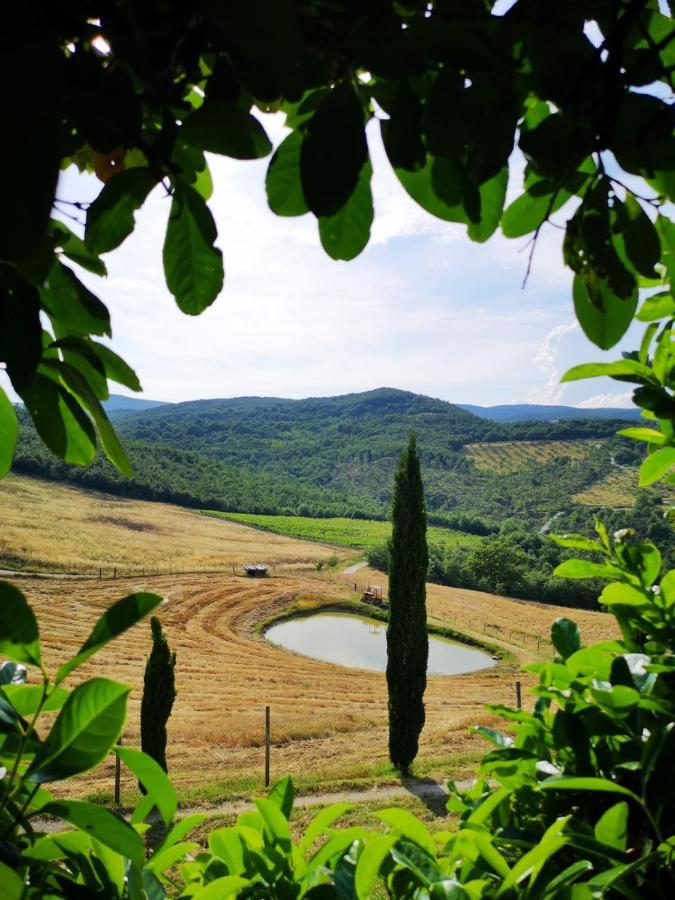 Agriturismo Selvella Allerona Zewnętrze zdjęcie