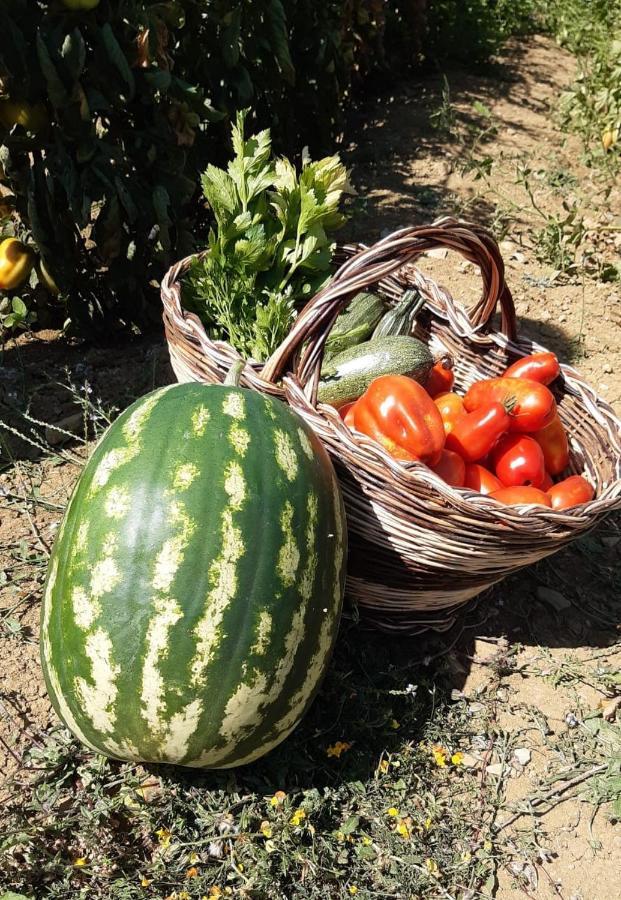 Agriturismo Selvella Allerona Zewnętrze zdjęcie
