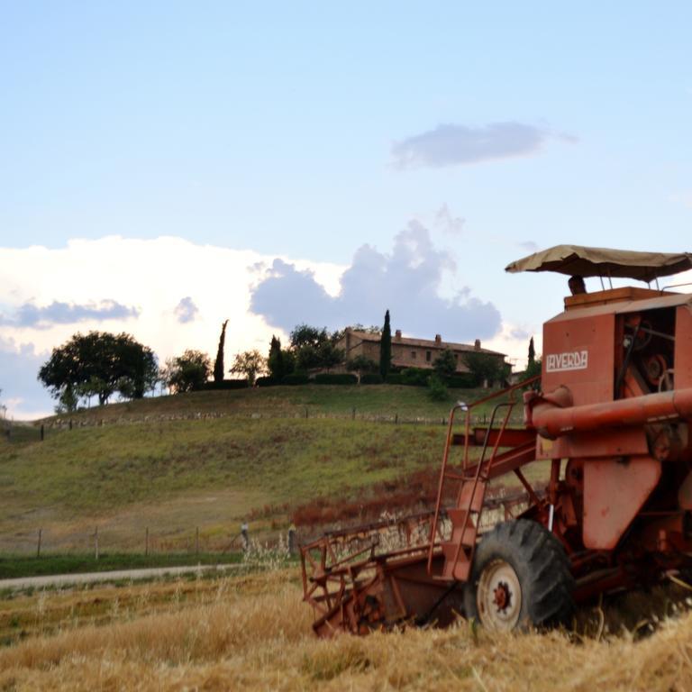Agriturismo Selvella Allerona Zewnętrze zdjęcie